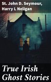 True Irish Ghost Stories (eBook, ePUB)