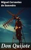 Don Quijote (eBook, ePUB)