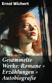 Gesammelte Werke: Romane + Erzählungen + Autobiografie (eBook, ePUB)