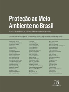 Proteção ao Meio Ambiente no Brasil (eBook, ePUB) - Iglecias, Patrícia; Tanure, Fernanda Abreu; Gouveia, Jorge; Santos, Caroline Jorge