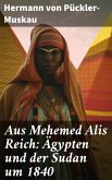 Aus Mehemed Alis Reich: Ägypten und der Sudan um 1840 (eBook, ePUB)