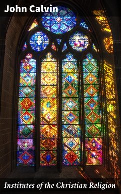Cover Institutes of the Christian Religion (eBook, ePUB)