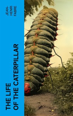 The Life of the Caterpillar (eBook, ePUB) - Fabre, Jean-Henri