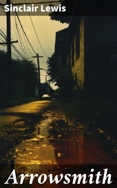 Cover Arrowsmith (eBook, ePUB)