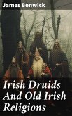 Irish Druids And Old Irish Religions (eBook, ePUB)
