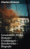 Gesammelte Werke: Romane + Erzählungen + Reiseberichte + Biografie (eBook, ePUB)