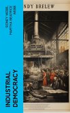 Industrial Democracy (eBook, ePUB)