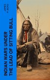 Indian Wars under the Lead of Sitting Bull (eBook, ePUB)