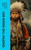 Sinopah the Indian Boy (eBook, ePUB)