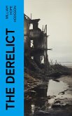 The Derelict (eBook, ePUB)