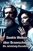 Dunkle Wolken über Braunschweig (eBook, ePUB)