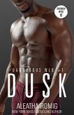 Dusk (Dangerous Web, #1) (eBook, ePUB)