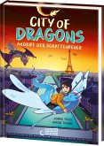 Angriff der Schattenfeuer / City of Dragons Bd.2