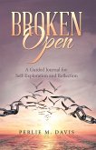 Broken Open (eBook, ePUB)