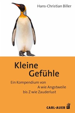 Kleine Gefühle - Biller, Hans-Christian