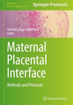 Maternal Placental Interface
