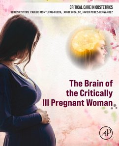 Cover The Brain of the Critically Ill Pregnant Woman (eBook, ePUB)