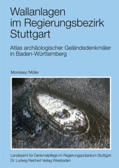 Vor- und frühgeschichtliche Befestigungen 28 - Morrissey, Christoph;Müller, Dieter