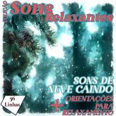 Coleção Sons Relaxantes - sons de neve caindo (MP3-Download)