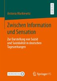 Zwischen Information und Sensation (eBook, PDF)