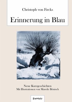 Erinnerung in Blau (eBook, ePUB) - von Fircks, Christoph