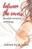 between the covers - an adult romance