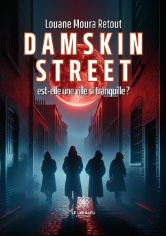 Damskin street est-elle une ville si tranquille ? - Louane Moura Retout