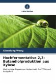 Hochfermentative 2,3-Butandiolproduktion aus Xylose