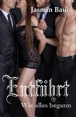 Entführt (eBook, ePUB)