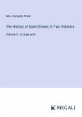 The History of David Grieve; In Two Volumes