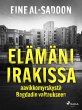 Elämäni Irakissa: aavikkomyrskystä... - Bild 1