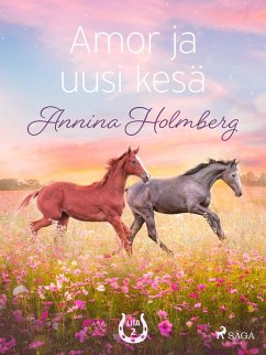 Amor ja uusi kesä (eBook, ePUB) - Holmberg, Annina