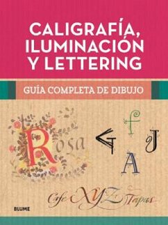 Caligrafía, iluminación y lettering (eBook, ePUB) - Vvaa