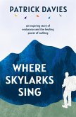 Where Skylarks Sing (eBook, ePUB)