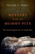 A Mystery from the Mummy-Pits (eBook,... - Bild 1