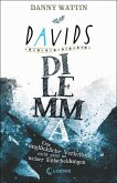 Davids Dilemma (eBook, ePUB)