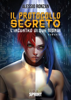 Il Protocollo Segreto (eBook, ePUB) - Ronzan, Alessio