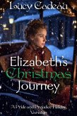 Elizabeth's Christmas Journey: A Pride and Prejudice Holiday Variation (eBook, ePUB)