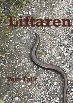 Liftaren (eBook, ePUB) - Falk, Tom