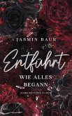 Entführt (eBook, ePUB)