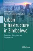 Urban Infrastructure in Zimbabwe (eBook, PDF)