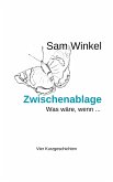 Zwischenablage (eBook, ePUB)