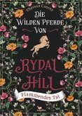 Silberner Sturm / Die wilden Pferde von Rydal Hill Bd.3