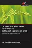 La resa del riso boro influenzata dall'applicazione di USG
