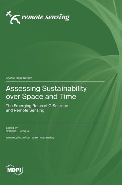 Assessing Sustainability over Space and Time