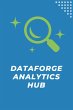 DataForge Analytics Hub - Bild 1