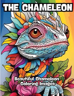 The Chameleon - Contenidos Creativos