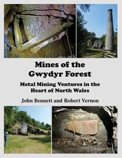 Mines of the Gwydyr Forest - Vernon, Robert; Bennett, John