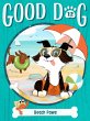 Beach Paws - Bild 1