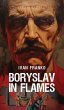 Boryslav in Flames - Bild 1